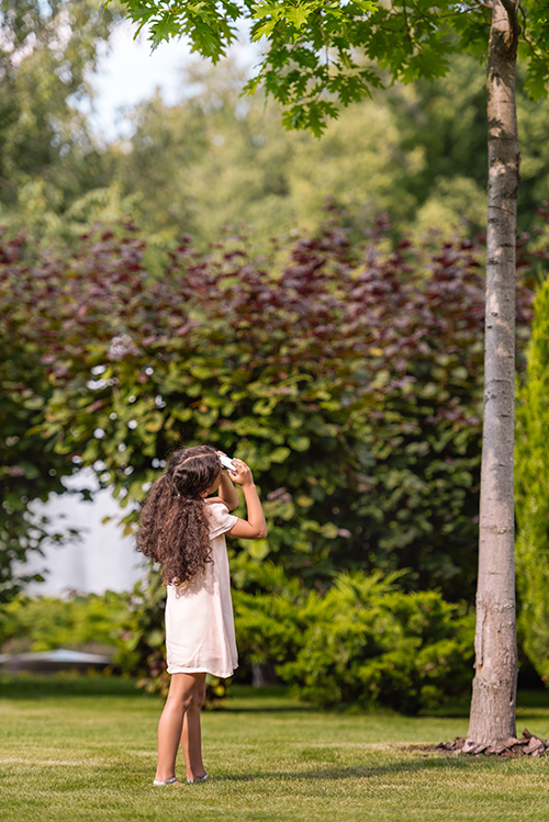 Girl inspecting Little Egg Harbor tree removal company service