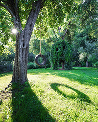 Little Egg Harbor tree removal services can affect how sunlight hits your yard